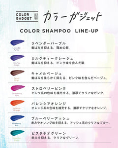 COLOR GADGET  Blueberry Ash